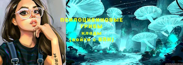 COCAINE Богородицк
