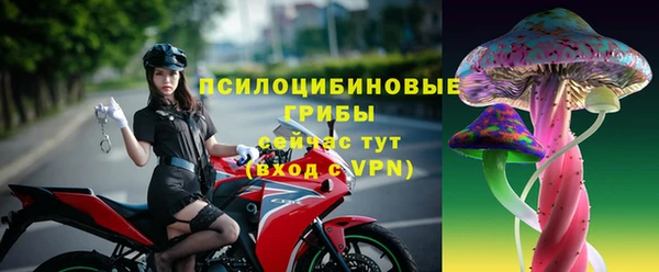 прущая мука Богданович