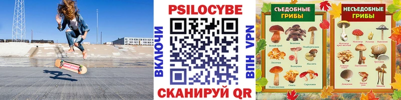 Псилоцибиновые грибы ЛСД  дарнет шоп  ОМГ ОМГ ссылки  Горно-Алтайск 